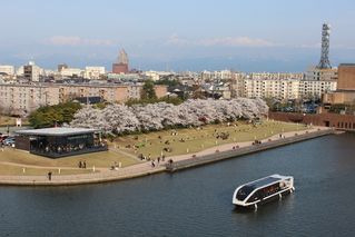 ４月はお花見も！